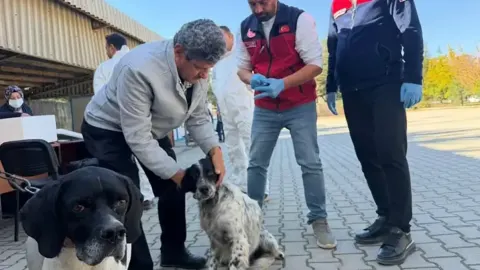 Afşin'de patili dostlara dev sağlık harekatı: 230 hayvana kuduz aşısı yapıldı!