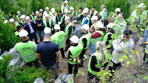 Andırın'da defneye yeni dönem: 450 hektarlık rehabilitasyon için tatbikat yapıldı