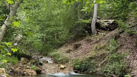 Andırın'daki Fındıklı Dere ve Hastane Pınarı doğal güzellikleriyle öne çıkıyor
