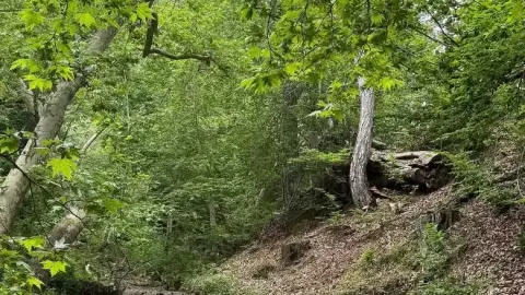 Andırın'ın Doğal Güzellikleri ve Fındıklı Dere'nin Büyüleyici Manzaraları