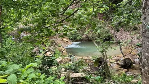 Andırın'ın doğal köşeleri: Fındıklı Dere ve Hastane Pınarı
