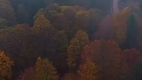 Andırın’ın ormanları sonbaharda sessiz bir renk şöleni sunuyor