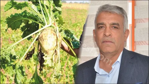 Başkan Bulut’tan pancar fiyatı tepkisi: “Revize edilmeli”