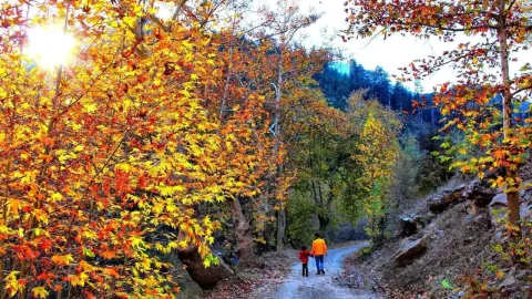 Doğanın renk paleti Göksun'da açıldı: Mevsimin en büyüleyici geçişi