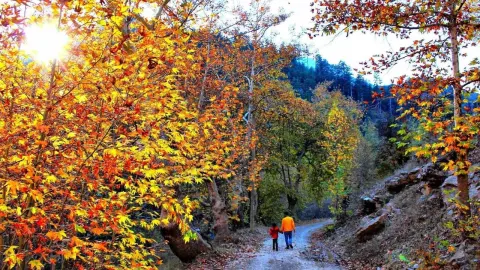Göksun'da sonbahar renkleri doğayı renklendirdi