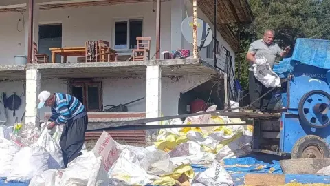 Hasat sevinci Andırın'da: yerli mısır imeceyle güneşte kurutuluyor