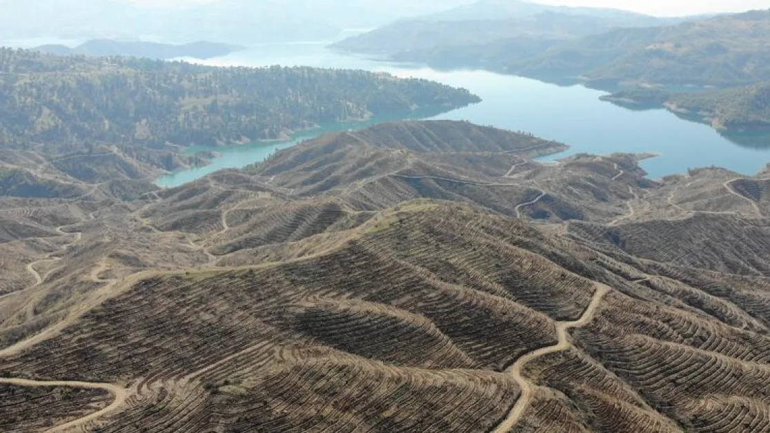 Kahramanmaraş'ta 1 milyondan fazla fidan dikilecek | Son dakika haberleri