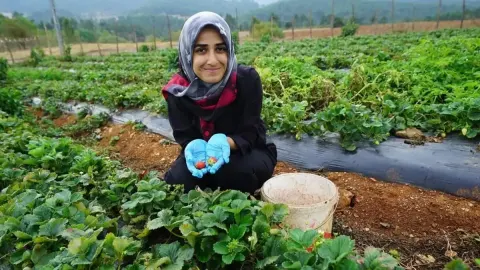 Kahramanmaraş'ta kadın emeğine dev destek: Kızılağaçlı kadınların el emeği lezzetleri yok satıyor!