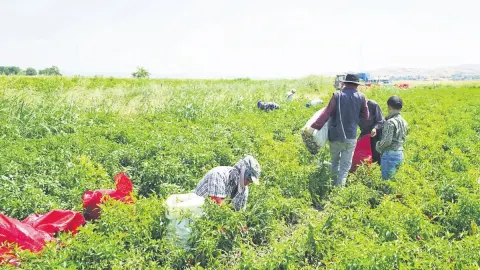 Kahramanmaraş’ta üreten çiftçiye ve kadına destek