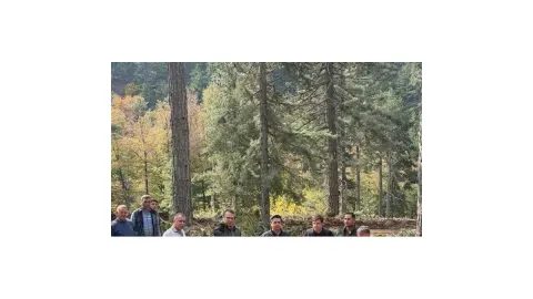 Orman Bölge Müdürü Cabaroğlu İslahiye'de 10 hektarlık karaçam sahasını değerlendirdi