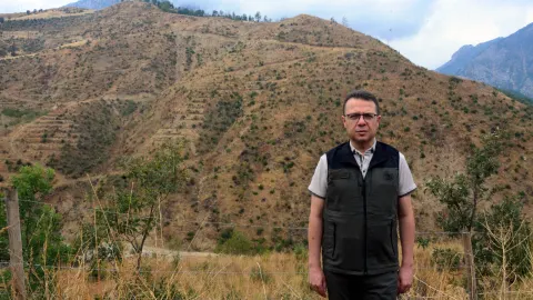 Şakalaşma sırasında atılan torpille yanan alan, 27 bin fidanla yeniden ağaçlandırıldı