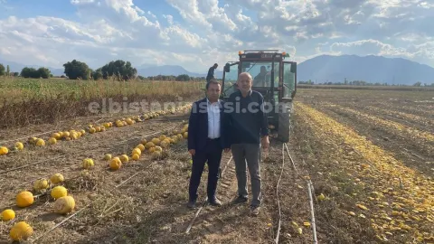 Tontuş’tan çerezlik kabak çekirdeği hasadındaki çiftçiye ziyaret